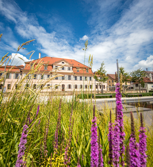 Wohnmobilstellplatz am Mineralfreibad Bönnigheim | © Stadt Bönnigheim