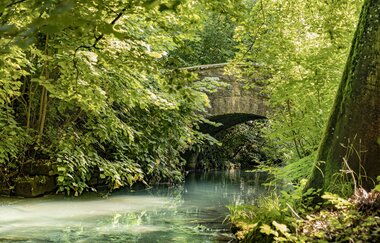 Ein kleiner Bach mit einer steinernen Brücke mit Rundbogen. Die Uferseiten sind stark bewachsen und die Äste ragen über die Schefflenz. Schefflenz im Odenwald | © Touristikgemeinschaft Odenwald e.V.