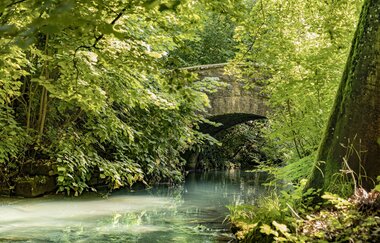 Ein kleiner Bach mit einer steinernen Brücke mit Rundbogen. Die Uferseiten sind stark bewachsen und die Äste ragen über die Schefflenz. Schefflenz im Odenwald | © Touristikgemeinschaft Odenwald e.V.
