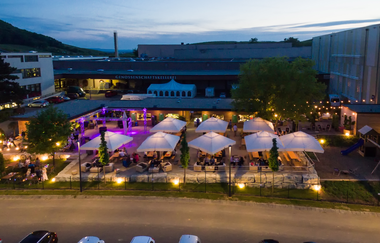 Weingarten an der Genossenschaftskellerei Heilbronn | HeilbronnerLand