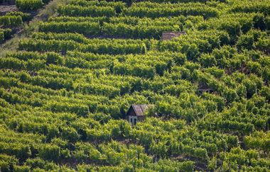 Wohnmobilstellplatz Felsengärten - Hessigheim | © Achim Mende