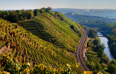 Wohnmobilstellplatz Felsengärten - Hessigheim | © Felsengartenkellerei Besigheim eG