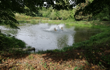 Ein Forellenteich umgeben von Bäumen und Wiesen. Elztal im Odenwald. | © Erhard und Elvira Schneider "Zum Forellenbauer" GbR