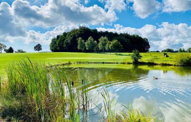 Golfteich mit Gräsern im Vordergrund. Im Hintergrund eine sehr grüne Wiese und ein kleiner Wald. Mudau im Odenwald. | © Golfclub Mudau und Freizeitanlagen GmbH