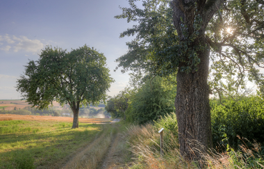 Hügellandschaft im Kraichgau | HeilbronnerLand | © Fachwerkstadt Eppingen