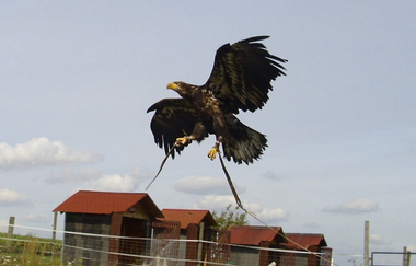 Wohnmobilstellplatz Moonlight-Ranch | Eppingen