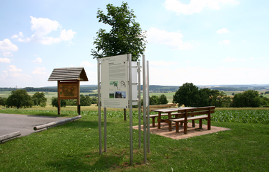 Im Vordergrund steht eine Infotafel auf einer Wiese. Rechts daneben eine Sitzgelegenheit mit Bank und Tisch aus Holz. Auf der rechten Seite ist eine Wanderinformation.  Neunkirchem im Odenwald.