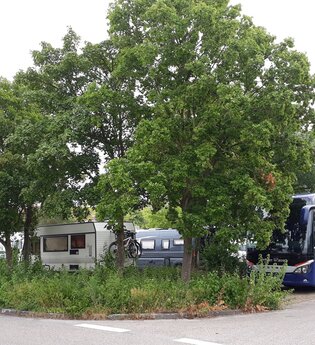 Blick auf den Wohnmobildstellplatz P3 in Rothenburg o.d.T. Der Platz ist gut belegt und von Bäumen durchzogen. | © Liebliches Taubertal
