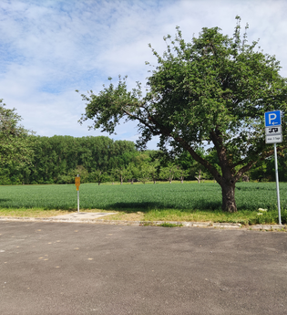 Wohnmobilstellplatz Unterbalbach | © Stadtverwaltung Lauda-Königshofen