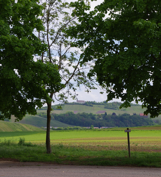 Stellplatz | Weingärtner Cleebronn-Güglingen | HeilbronnerLand | © Weingärtner Cleebronn-Güglingen