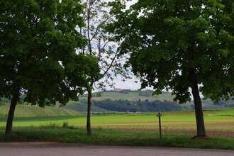 Stellplatz | Weingärtner Cleebronn-Güglingen | HeilbronnerLand | © Weingärtner Cleebronn-Güglingen