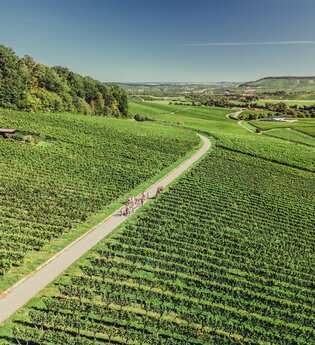 Weingut Koppenhöfer in Löwenstein | Wohnmobilstellplatz | Besen | Wein Süden | Hotel | Weinsberger Tal | © Tourismus im Weinsberger Tal e.V.