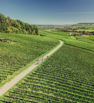Weingut Koppenhöfer in Löwenstein | Wohnmobilstellplatz | Besen | Wein Süden | Hotel | Weinsberger Tal | © Tourismus im Weinsberger Tal e.V.