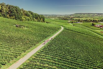 Weingut Koppenhöfer in Löwenstein | Wohnmobilstellplatz | Besen | Wein Süden | Hotel | Weinsberger Tal | © Tourismus im Weinsberger Tal e.V.