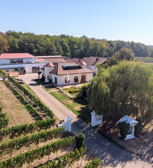 Weingut Kurz-Wagner | Talheim | HeilbronnerLand | © Weingut Kurz-Wagner GbR