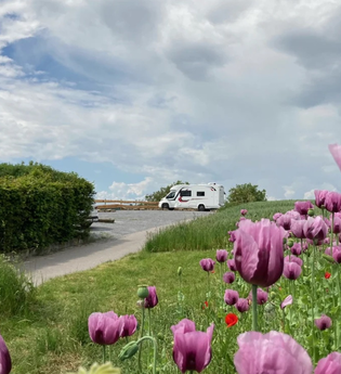Wohnmobilstellplätze auf dem Weingut Schönbrunn | Erlenbach | HeilbronnerLand | © Weingut Schönbrunn GbR