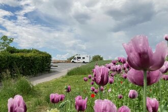 Wohnmobilstellplätze auf dem Weingut Schönbrunn | Erlenbach | HeilbronnerLand | © Weingut Schönbrunn GbR