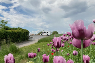 Wohnmobilstellplätze auf dem Weingut Schönbrunn | Erlenbach | HeilbronnerLand | © Weingut Schönbrunn GbR