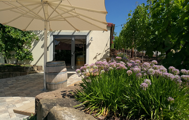 Außenbereich Weingut Schönbrunn | Erlenbach | HeilbronnerLand | © Weingut Schönbrunn