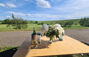 Ausblick Weingut Sommer | © Weingut Sommer