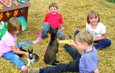 Wüsthäuser Gutshof