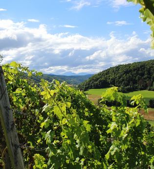 "Einfach näher dran – echt dabei vor Ort" | © Unbekannt