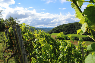 "Einfach näher dran – echt dabei vor Ort" | © Unbekannt