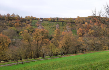 "Einfach näher dran – echt dabei vor Ort" | © Unbekannt