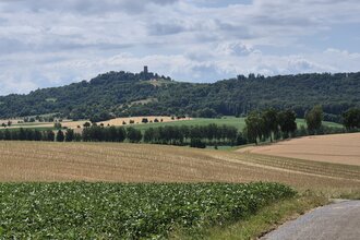 "Tour de Kraichgau" - mit dem E-Bike durch das Land der tausend Hügel