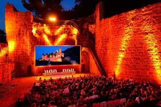 13. Wertheimer Burgfilmfest - Open Air Kino auf der Burg