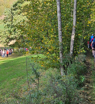 19. Taubertäler Wandertage in verschiedenen Städten und Gemeinden | © Liebliches Taubertal