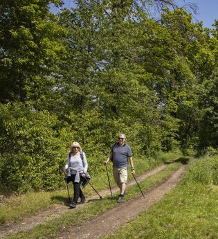 19. Taubertäler Wandertage in Wertheim: "An der Tauber ganz unten" | © TOURISMUS REGION WERTHEIM GmbH