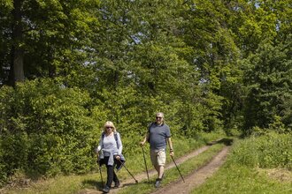 19. Taubertäler Wandertage in Wertheim: "An der Tauber ganz unten" | © TOURISMUS REGION WERTHEIM GmbH