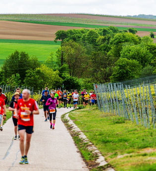 Läufer laufen durch die Weinberge | © Heilbronn Marketing GmbH