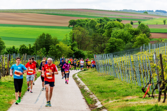 Läufer laufen durch die Weinberge | © Heilbronn Marketing GmbH