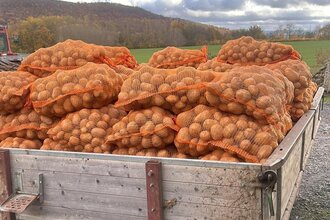 Anhänger mit vielen Kartoffelsäcken | © Naturpark Habichtswald
