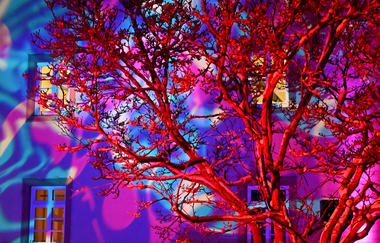 5. Winterzauber Bad Schönborn - "Feuer & Flamme"