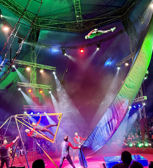 Die Truppe Steam verblüfft mit Würfen, Salti und Überschlägen auf und mit der Russischen Schaukel. | © Main-Tauber Weihnachtscircus