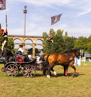 90. Bietigheimer Pferdemarkt | © W.Gruenewald
