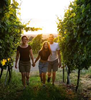Weinbergwanderung | © Hohenloher Perlen
