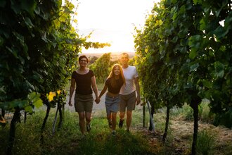 Weinbergwanderung | © Hohenloher Perlen