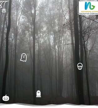 Abenteuer vor der Haustür: Dunkle Gestalten im Wald | © Naturpark Neckartal-Odenwald e.V.
