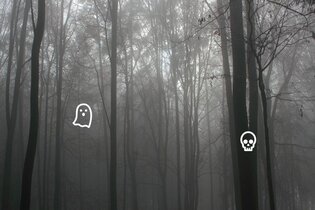 Abenteuer vor der Haustür: Dunkle Gestalten im Wald | © Naturpark Neckartal-Odenwald e.V.