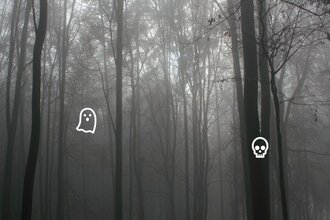 Abenteuer vor der Haustür: Dunkle Gestalten im Wald | © Naturpark Neckartal-Odenwald e.V.