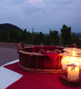 Advent in den Weinbergen | © Weingut Weiberle