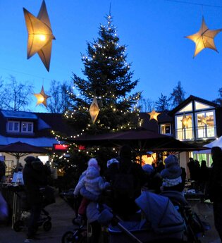 Adventszauber im Wildpark Schwarzach