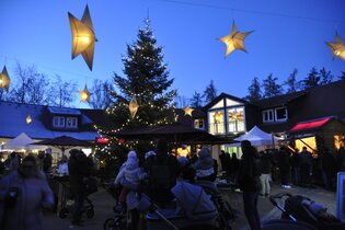 Adventszauber im Wildpark Schwarzach