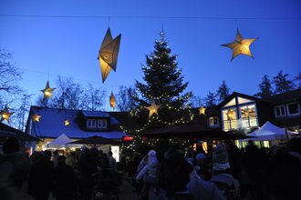 Abendstimmung beim Adventszauber im Wildpark Schwarzach