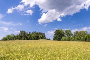 AFTER WORK-WANDERUNG: Auf den Spuren des Kalkbrunnens | © TMBW