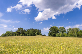 AFTER WORK-WANDERUNG: Auf den Spuren des Kalkbrunnens | © TMBW